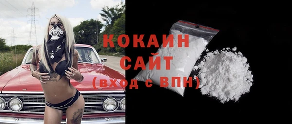 соль ск Абаза