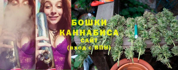 соль ск Абаза