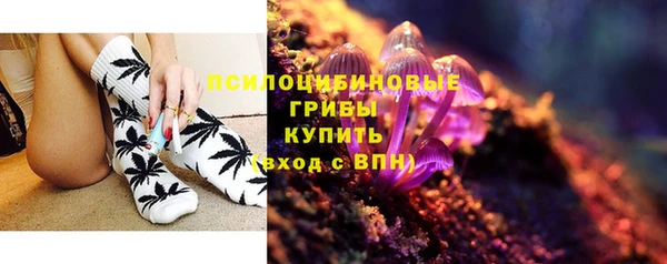 spice Михайловка