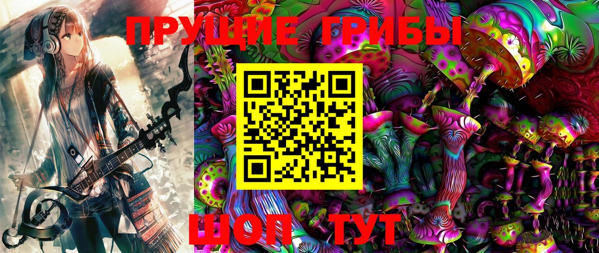 Саратов  Галлюциногенные грибы Psilocybine cubensis  Вход с VPN  Псилоцибиновые грибы Cubensis 